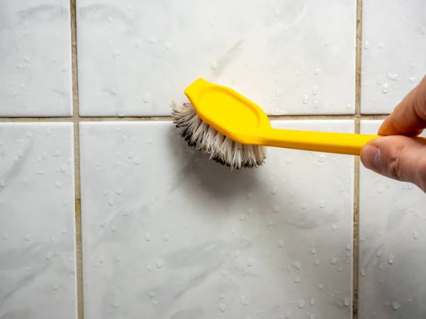 Best Toxic Mold Removal  in Tamiami, FL
