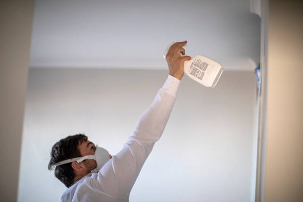 Mold Removal Process in Tamiami, FL