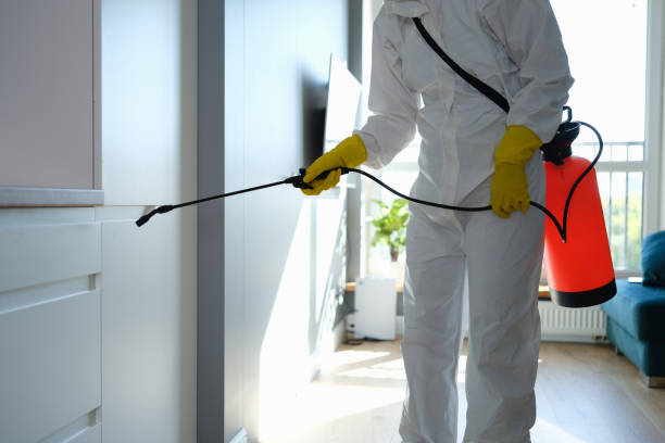 Best Commercial Mold Removal  in Tamiami, FL