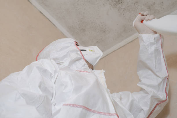 Best Toxic Mold Removal  in Tamiami, FL