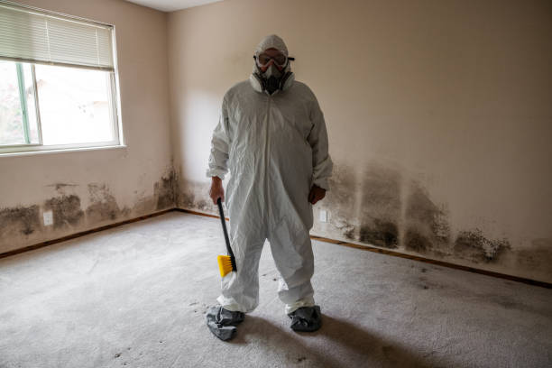 Best Attic Mold Removal  in Tamiami, FL